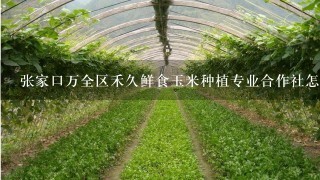 张家口万全区禾久鲜食玉米种植专业合作社怎么样？