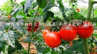 现在冬季有什么新的凉菜.不要家常的.比较新奇点的.比较高档点的原材料..我这边是5星的饭店.贵点无所谓,,