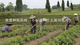 我想种植药材，不知道种什么保回收的？