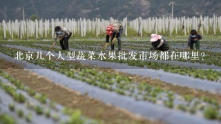 北京几个大型蔬菜水果批发市场都在哪里?
