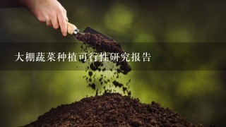 大棚蔬菜种植可行性研究报告