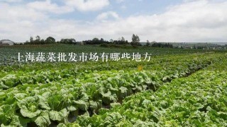 上海蔬菜批发市场有哪些地方