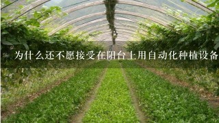 为什么还不愿接受在阳台上用自动化种植设备无土栽培绿色蔬菜?