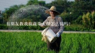 有朋友教我搞蔬菜大棚怎么搞吗？