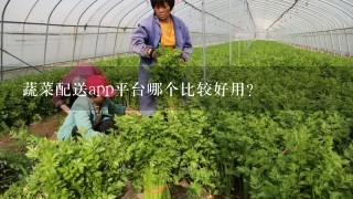 蔬菜配送app平台哪个比较好用？