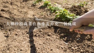 大棚种植蔬菜在冬季需补充2氧化碳