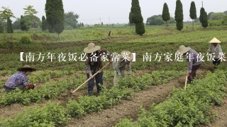 【南方年夜饭必备家常菜】南方家庭年夜饭菜谱