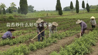 蒜苔炒什么好吃家常菜