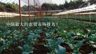 中国最大的农贸市场排名？