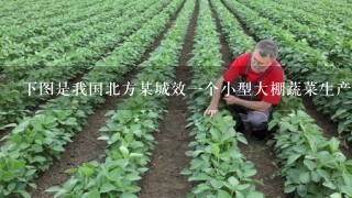 下图是我国北方某城效1个小型大棚蔬菜生产模式图，棚顶用塑料薄膜密封，背面是冬季用以御寒和提高棚内温度的挡风墙...