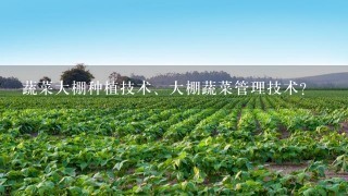 蔬菜大棚种植技术、大棚蔬菜管理技术？