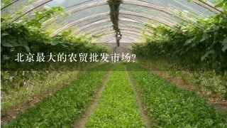 北京最大的农贸批发市场？