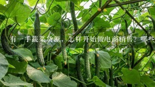 有1手蔬菜货源，怎样开始做电商销售？哪些平台合适