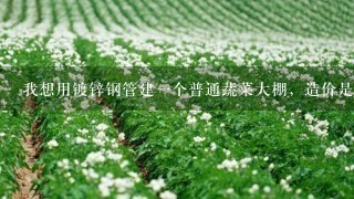 我想用镀锌钢管建1个普通蔬菜大棚，造价是多少钱1亩？？？？求解