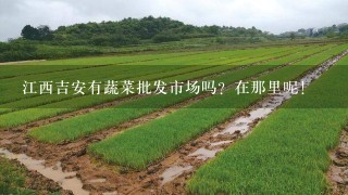 江西吉安有蔬菜批发市场吗？在那里呢！