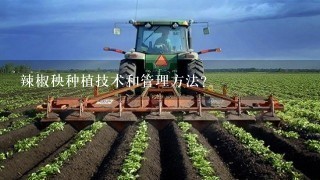 辣椒秧种植技术和管理方法？