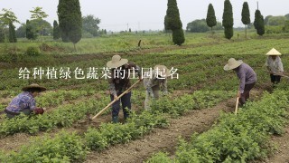 给种植绿色蔬菜的庄园起名