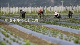 中老年补钙吃什么好