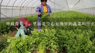 外貌像茄子，里面是空心5角星的蔬菜叫什么？