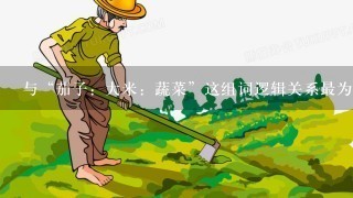 与“茄子：大米：蔬菜”这组词逻辑关系最为相近的1项是（ ）。