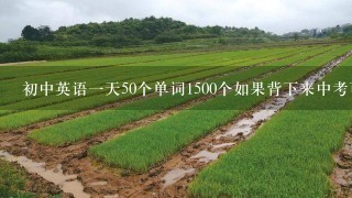 初中英语1天50个单词1500个如果背下来中考可以多少求大神帮助？