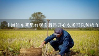 上海浦东哪里有现实版得开心农场可以种植有机蔬菜？