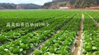 蔬菜的英语单词100个