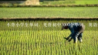 不背小学生单词，光背初中3000个单词，英语能学会吗？