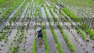 蔬菜沙拉除了沙拉酱要放其他调味料吗？