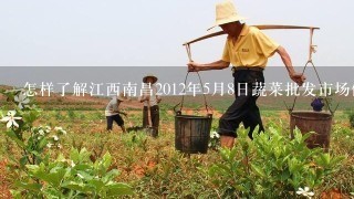 怎样了解江西南昌2012年5月8日蔬菜批发市场价格