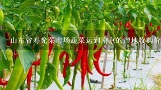 山东省寿光菜市场蔬菜运到南京的产地收购价、售地批发价、0售价!!知道的帮帮忙！！谢谢