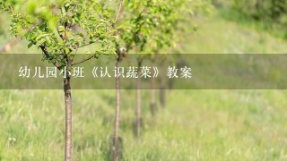 幼儿园小班《认识蔬菜》教案