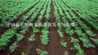 中国最大的批发蔬菜批发市场在哪
