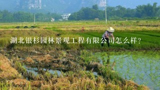 湖北银杉园林景观工程有限公司怎么样？