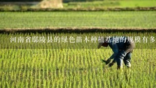 河南省鄢陵县的绿色苗木种植基地的规模有多大？