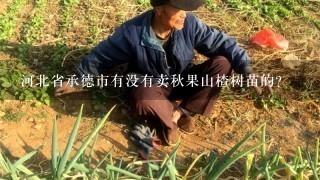 河北省承德市有没有卖秋果山楂树苗的？