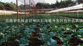 甘肃省张掖市甘州区石岗墩开发区有什么农场吗