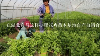 在湖北宜昌这样办理花卉苗木基地自产自销合格证