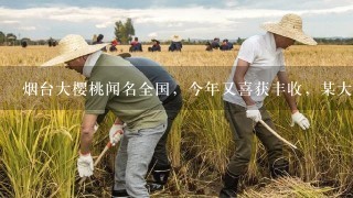 烟台大樱桃闻名全国，今年又喜获丰收，某大型超市从大樱桃生产基地购进1批大樱桃，运输过程中质量损失5%．...