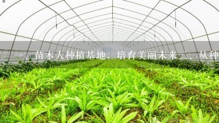 <br/>1、苗木人种植基地，培育美丽未来<br/>2、从种植管理到环保，让基地成为健康发展引领者