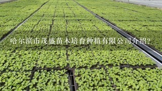 哈尔滨市茂盛苗木培育种植有限公司介绍？