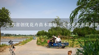 江苏省创优花卉苗木基地，是不是苏北最大苗木基地，信誉怎么样？