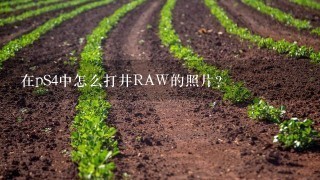 在pS4中怎么打井RAW的照片？