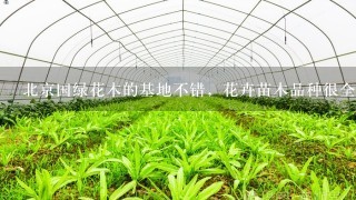 北京国绿花木的基地不错，花卉苗木品种很全，价格优惠。