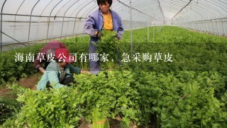 海南草皮公司有哪家，急采购草皮