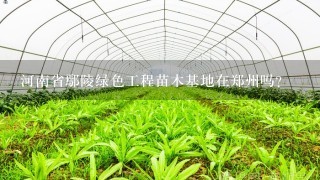 河南省鄢陵绿色工程苗木基地在郑州吗？