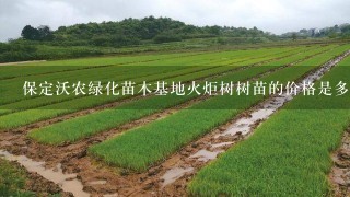 保定沃农绿化苗木基地火炬树树苗的价格是多少？听说他们那边的苗木不错