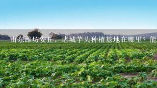 山东潍坊安丘，诸城芋头种植基地在哪里？能具体到镇和村最好 谢谢