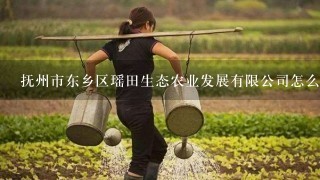 抚州市东乡区瑶田生态农业发展有限公司怎么样？