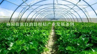 麻阳苗族自治县柑桔产业发展条例